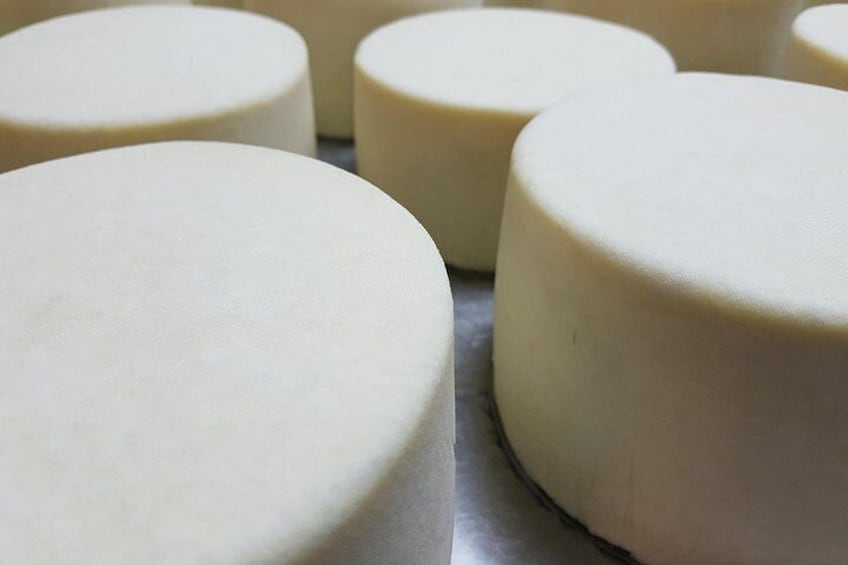 Idiazabal Cheese