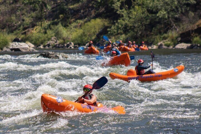 Rogue River Hellgate Canyon Half-Day Trip