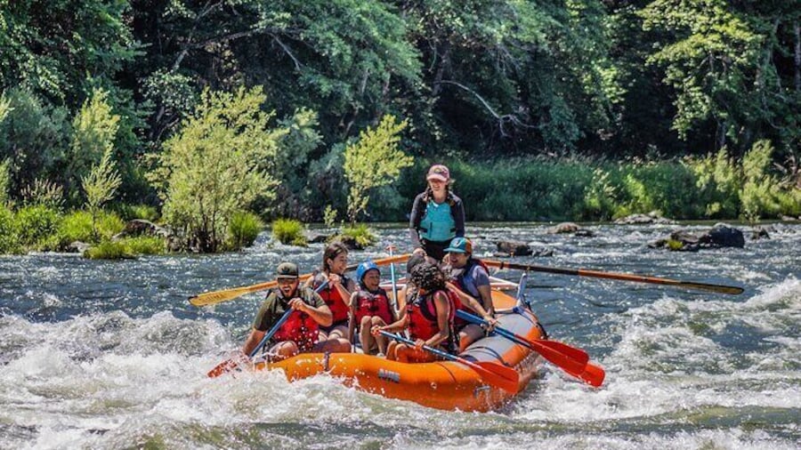 Full-Day Rogue River Hellgate Canyon Raft Tour