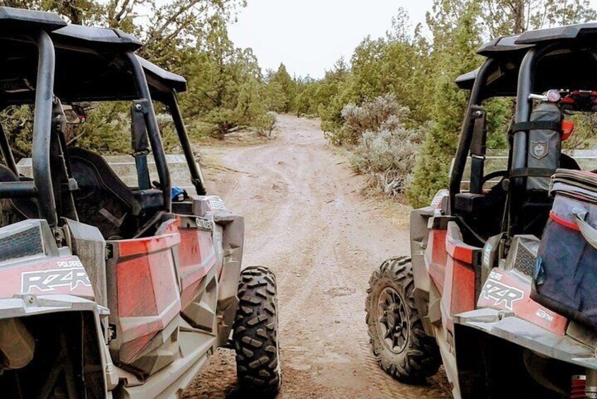 Desert Rambler ATV Adventure