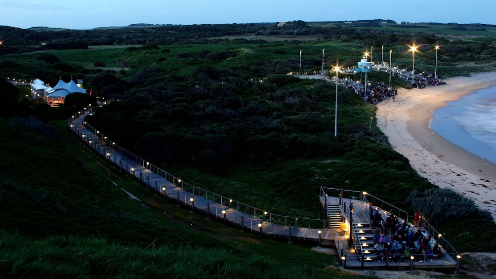 Boardwalk out to beach on Phillip Island