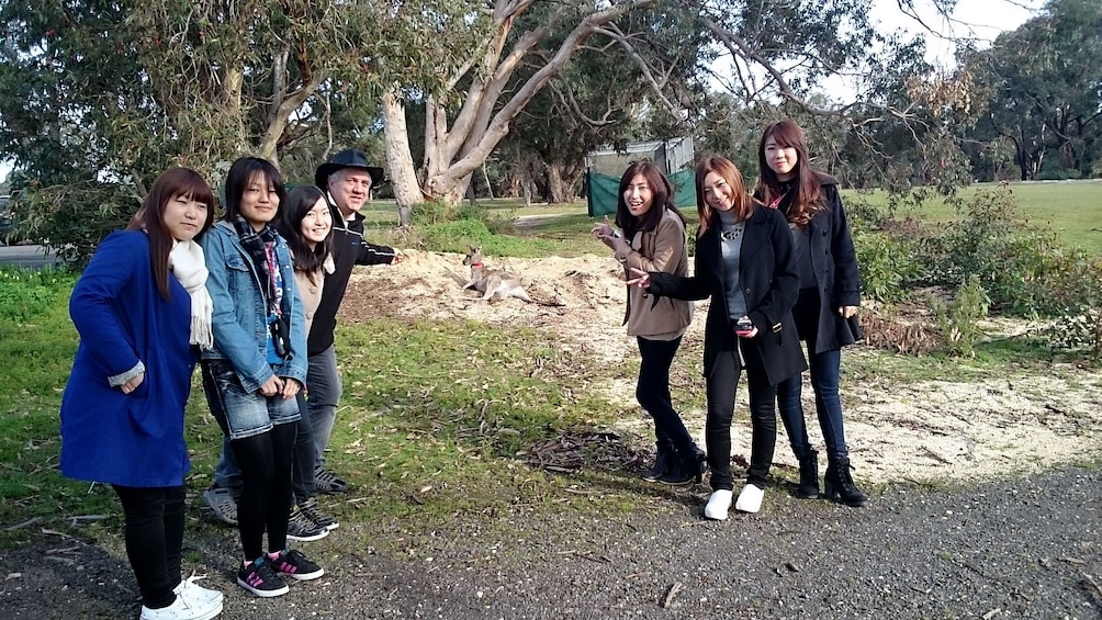 Visitors spotting a kangaroo in Melbourne