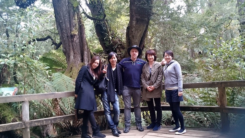 Visiting the woods in Melbourne