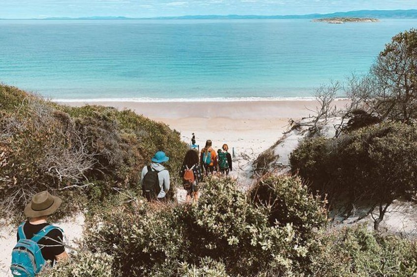 Show item 5 of 8. Freycinet Walking Tour