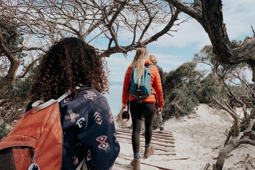 Show item 3 of 8. Freycinet Walking Tour