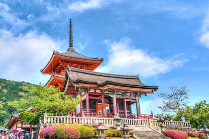 京都全天（8 小時）觀光 PrivateTour