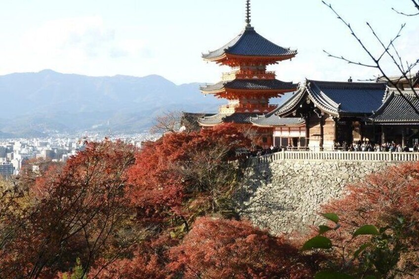 Fushimi Inari shrine , Kiyomezu dera temple and Gion in a 6 hour guided tour