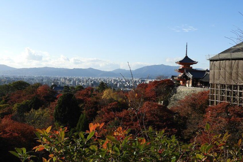 Kyoto Full Day (8 hours) Sightseeing PrivateTour