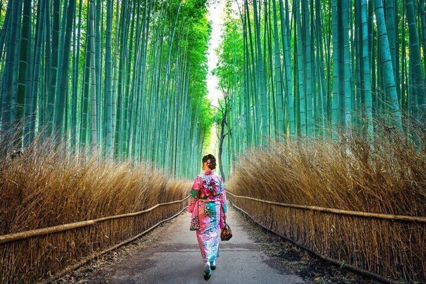 Explore the best spots of Arashiyama / Nara in a One Day Private Tour from Kyoto