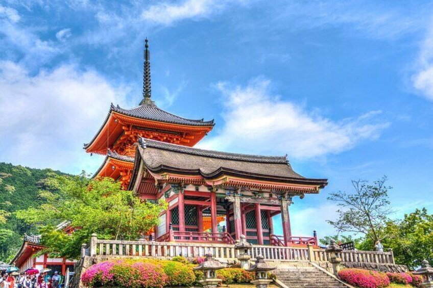 1-Full Day Private Experience of Culture and History of Kyoto for 1 Day Visitors