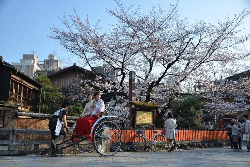 3 Hours Tour in Historic Gion: Geisha Spotting Area Tour