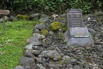 1 dag Dian Fossey Tomb Hike