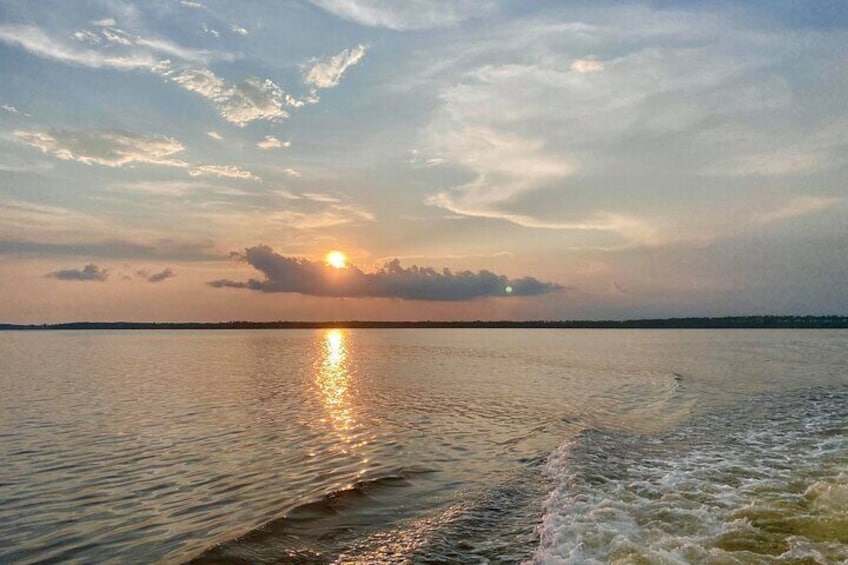 Dolphin and Nature Sunset Cruise from Orange Beach