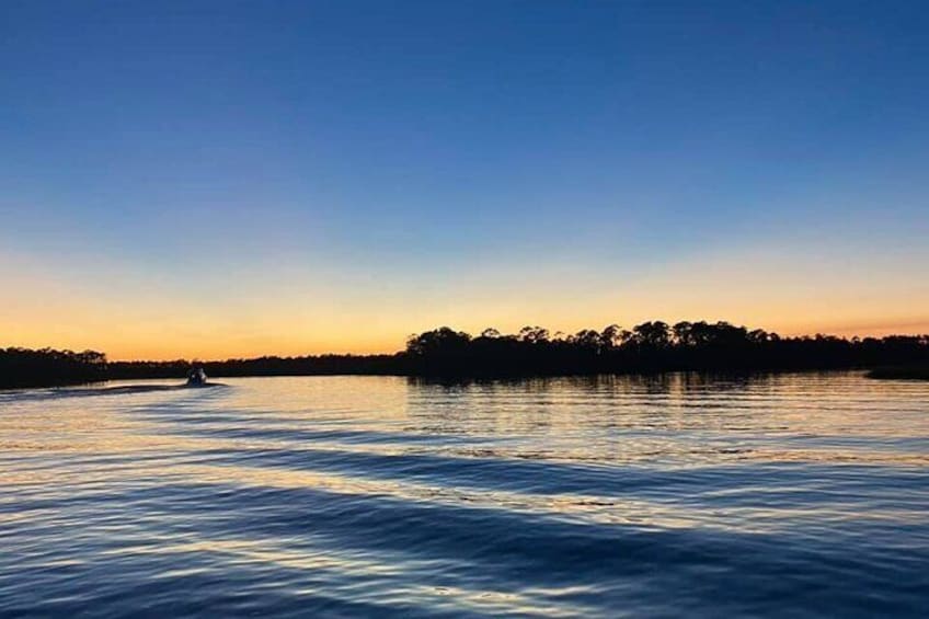 Dolphin and Nature Sunset Cruise from Orange Beach