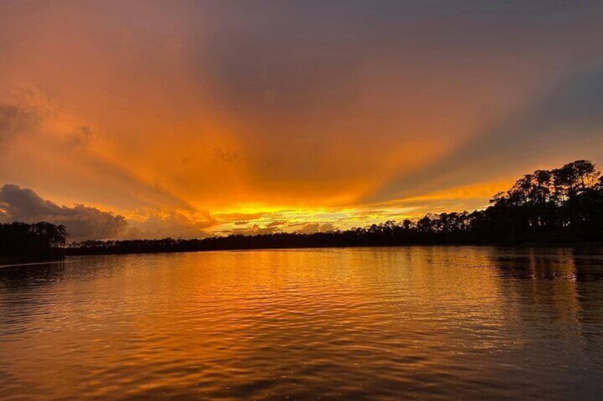 Dolphin and Nature Sunset Cruise from Orange Beach