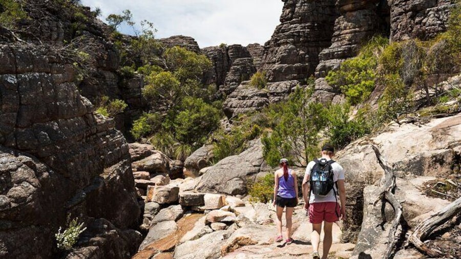 Grampians National Park Small-Group Eco Tour from Melbourne