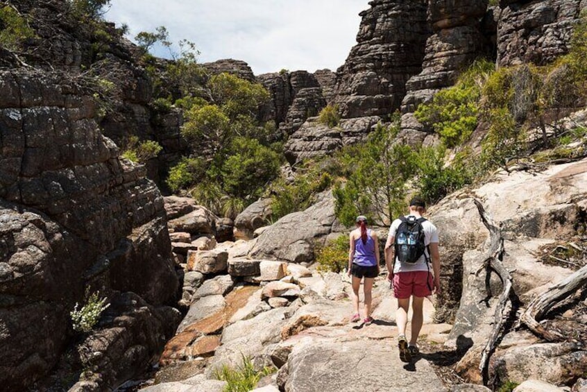 Grampians National Park Small-Group Eco Tour from Melbourne