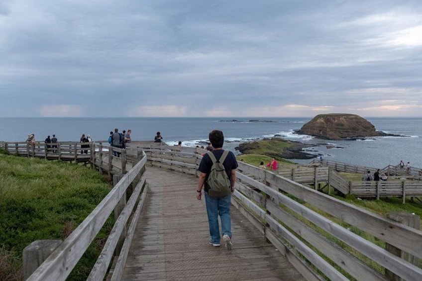 From the Nobbies you can see the Seal Rocks where the country’s largest Australian Fur Seal colony lives.