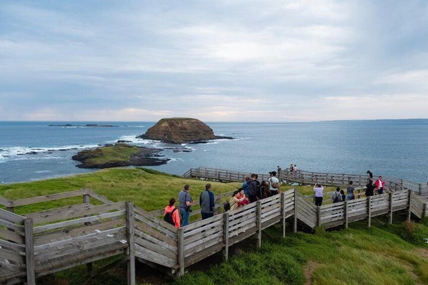 Wooden walkways lead toward the ocean and through the dunes on Philip Island.