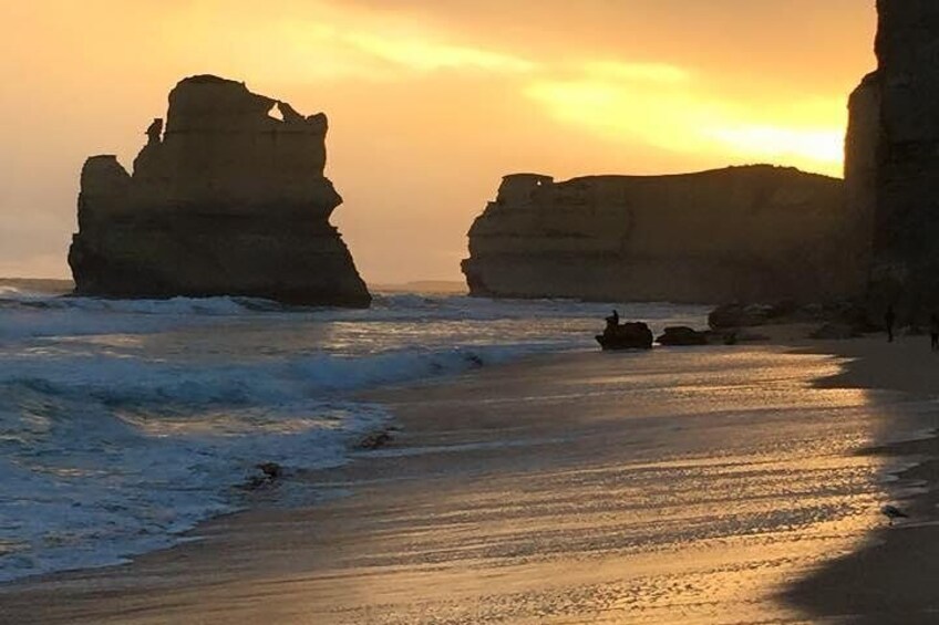 Great Ocean Road Small-Group Eco-Tour from Melbourne