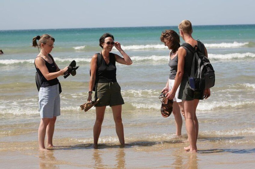 Great Ocean Road Small-Group Ecotour from Melbourne