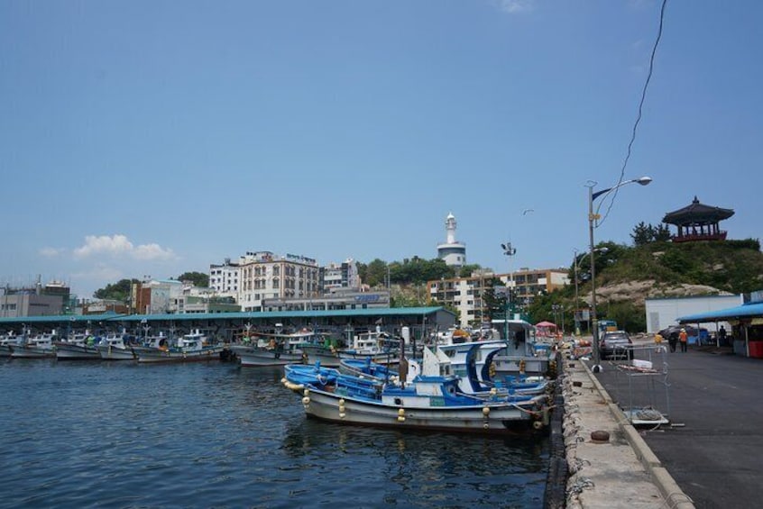 Dongmyeong Harbor View