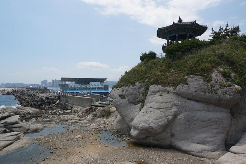 Dongmyeong Harbor View