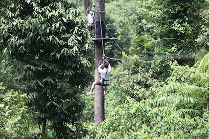 Skytrex Adventure Langkawi