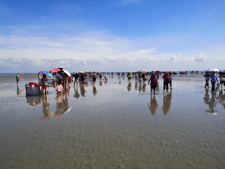 Sky Mirror&Sekinchan Paddy Field Day Tour from Kuala Lumpur