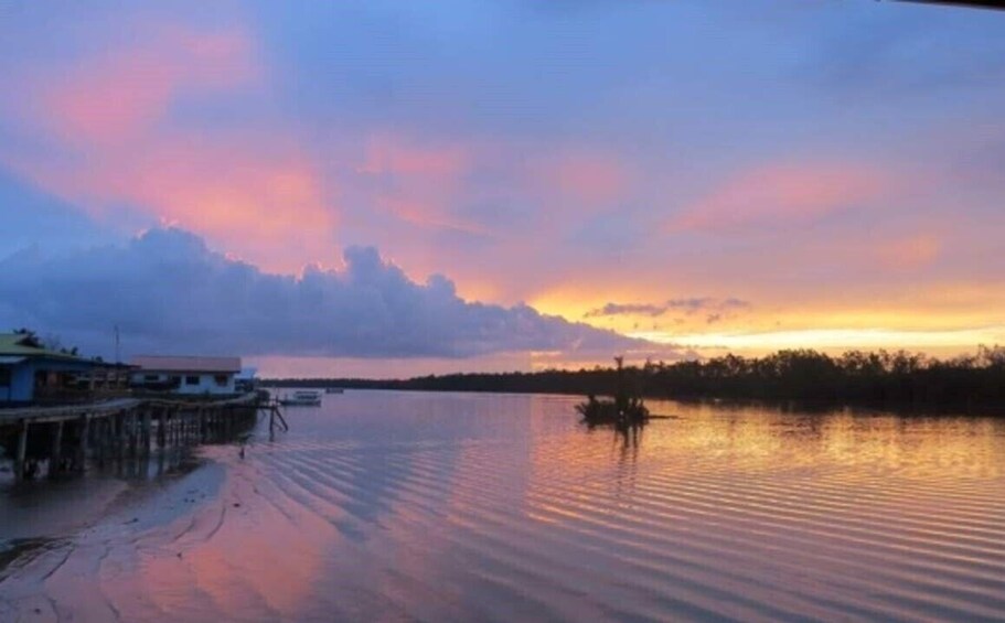 Weston Wetlands Monkey, Sunset & Fireflies Cruise