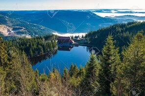 Day trip to the Black Forest from Strasbourg to Baden-Baden