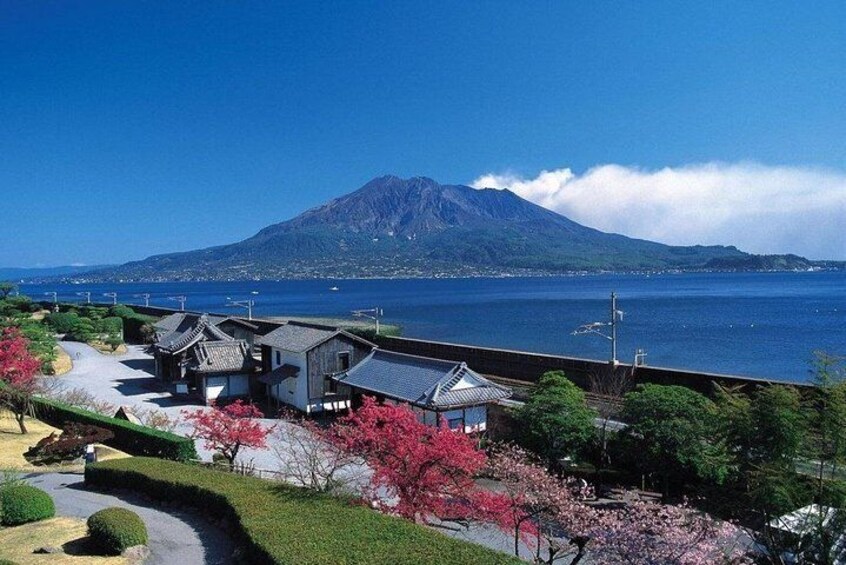 Kagoshima Half-Day Private Tour with Nationally-Licensed Guide