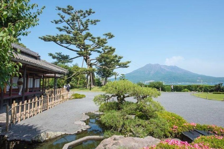 Kagoshima Full-Day Private Tour with Nationally-Licensed Guide