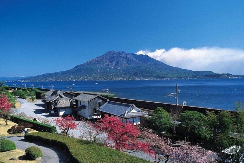 Kagoshima Full-Day Private Tour with Nationally-Licensed Guide