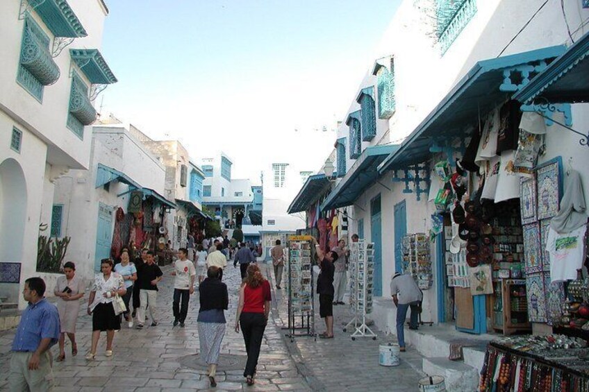 Carthage and Sidi Bou Said Half-Day Guided Tour from Tunis