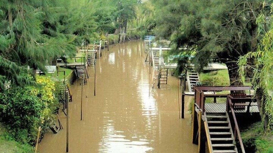 Delta Tigre Day tour from 11am with navigation and transfer from your hotel