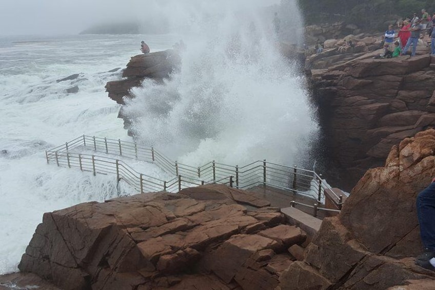 4 Hour: ACADIA NATIONAL PARK TOUR with Somes Sound (fjord), Gardens & Mansions