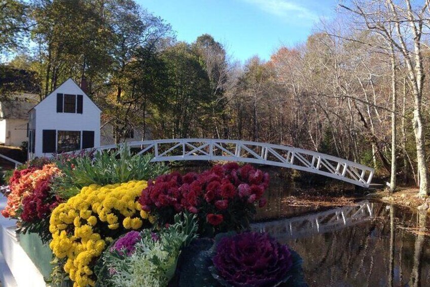 4 Hour Private Tour: Explore Acadia Nat'l Park, Fjord & Mansions