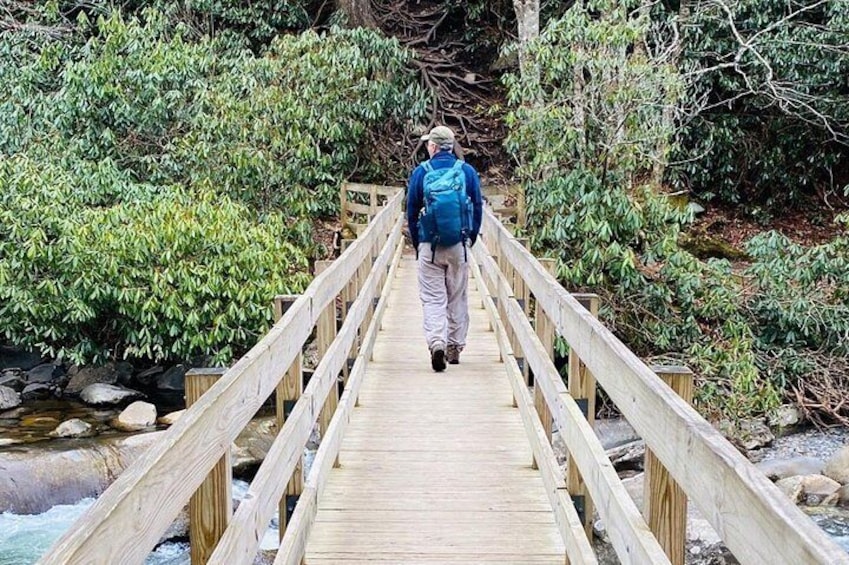 Thundering Streams and Falls of the Smokies Guided Hiking Tour