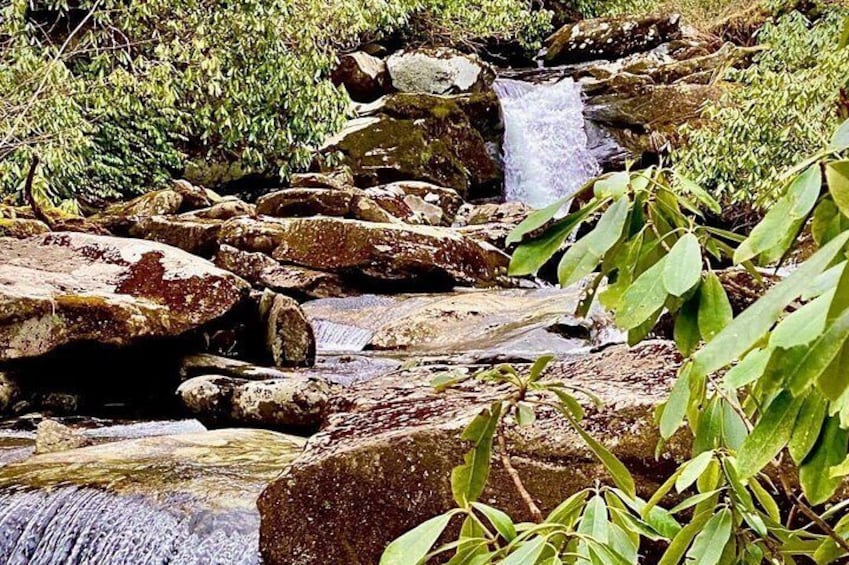 Thundering Streams and Falls of the Smokies Guided Hiking Tour