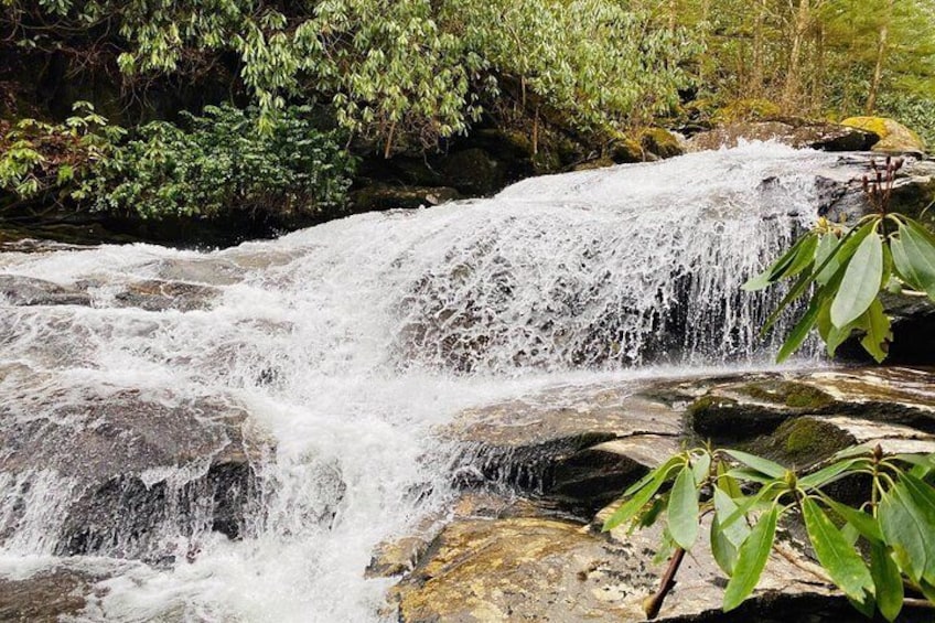 Explore this quiet trail