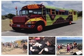 Da Party Bus Beach Break & Island Adventures