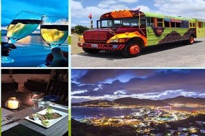 Da Party Bus Local Pub Hopping Entertainment & Dinner