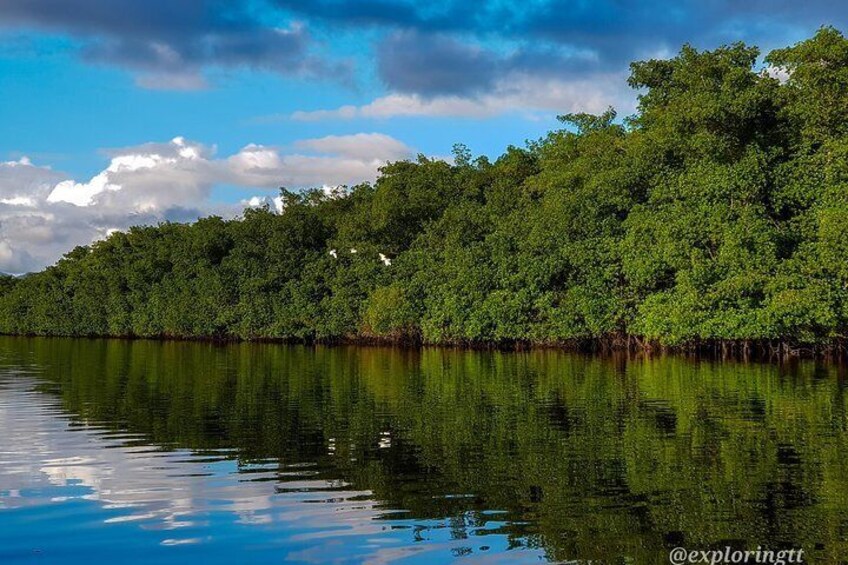 Caroni Bird Sanctuary