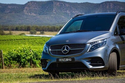 Private Hunter Valley Mercedes Escape Tour From Sydney