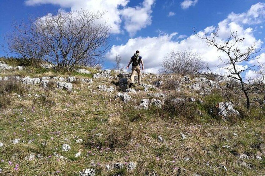 Archaeological tour near Poreč