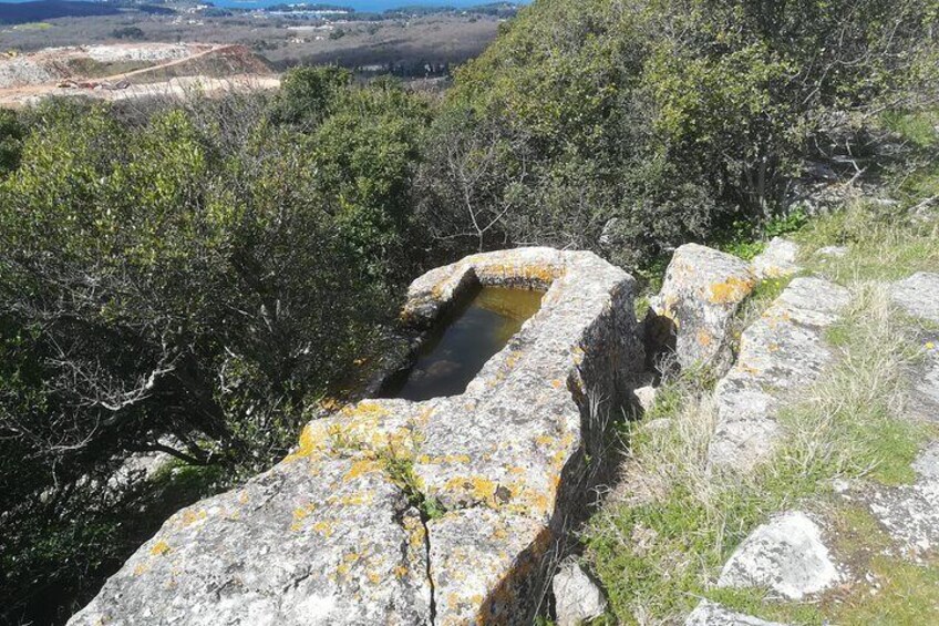 Archaeological walk and honey tasting