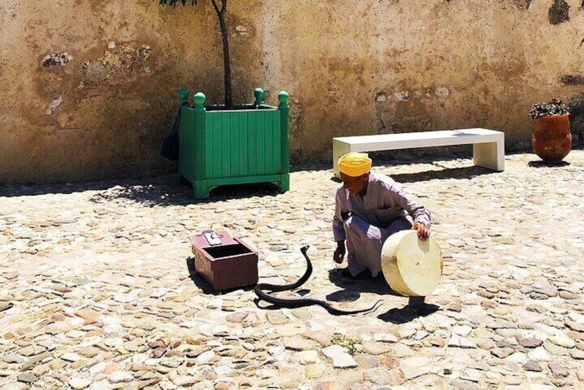 Snake Charmer - Folkloric shows - things to see in tangier