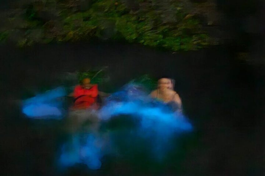 The best Thing to do in Tobago at Night Bioluminescence Tour.