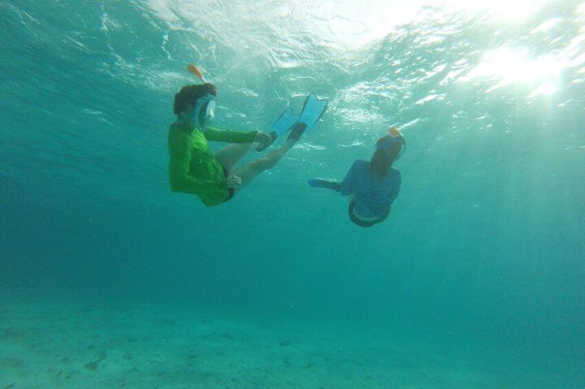 The best Thing to do in Tobago at Night Bioluminescence Tour.